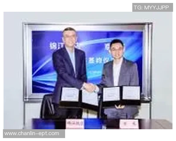 Lewin乐玩与多家机构成功合作的创新案例分析与启示