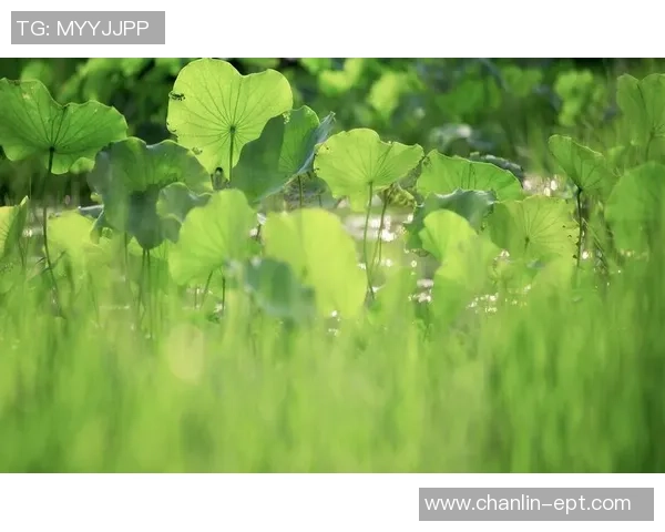 绿色乐玩：构建健康游戏环境的防沉迷系统与时间管理提醒机制